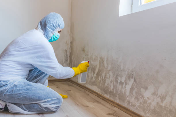 Commercial Mold Remediation assessment for commercial property in Hoffman Estates