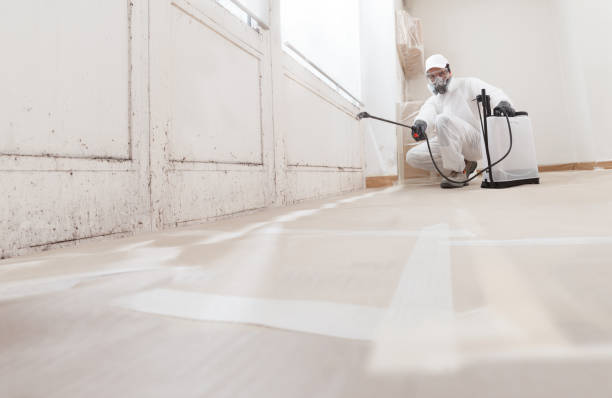 Post-remediation clearance in Hoffman Estates